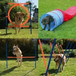 Agility és Hoopers sportfelszerelések