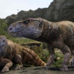 Magyar dinoszauruszok nyomában – Mit tanulhatunk a bakonyi felfedezésből gyerekekkel együtt? 3 ajkai magyar dinoszaurusz felfedezés ajkaceratopsz